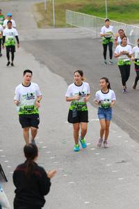 BIB: 
                            <button type="button" onclick="openModal(3560677)" class="btn btn-primary btn-sm float-right btn-popup" data-toggle="modal" data-target=".modal-high-quality">
                        <i class="fas fa-shopping-cart"></i> Add to Cart
                    </button>
                                            <button type="button" onclick="isThisMe(3560677, true)" class="btn btn-success btn-sm float-right btn-popup btn-isme hidden" data-toggle="tooltip" data-placement="bottom" title="นี่คือรูปของคุณใช่ไหม คลิกที่นี่เพื่อเอาเข้าอัลบั้ม">
                        <i class="fas fa-plus"></i> Add to album
                    </button>
                    <button type="button" onclick="isThisMe(3560677, false)" class="btn btn-warning btn-sm float-right btn-popup btn-isnotme hidden">
                        <i class="fas fa-ban"></i> Remove from album
                    </button>